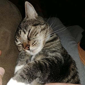 Meet your Posher, Debra